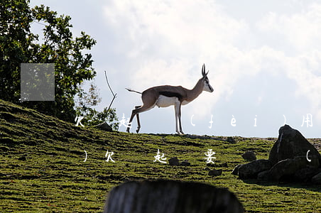欠錢起訴費(fèi)用誰來承擔(dān)（欠錢起訴要訴訟費(fèi)嗎）