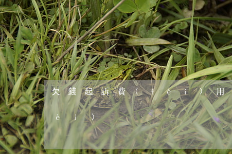 欠錢起訴費(fèi)用高(欠債起訴費(fèi))