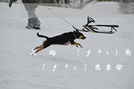 欠錢起訴費(fèi)需要律師嗎(欠錢起訴費(fèi)需要律師嗎)