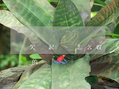 欠錢起訴費怎么收費(欠錢起訴費是怎么收費的)