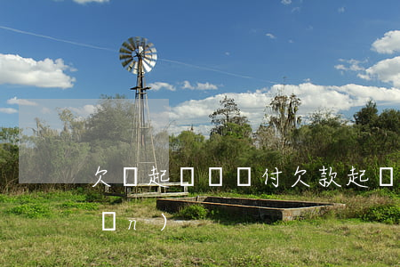 欠錢起訴費誰付(欠款起訴費用誰來承擔(dān))