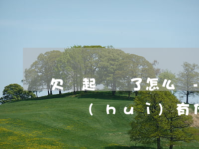 欠錢起訴輸了怎么辦-欠款打官司輸了,沒錢賠會(huì)有什么后果