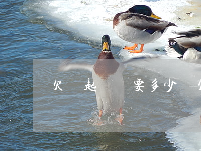 欠錢起訴還要多少錢(欠賬起訴要多少錢)