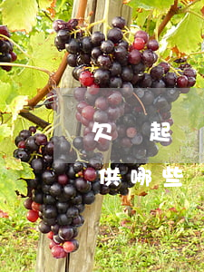 欠錢起訴都需要啥資料(欠錢起訴一般需要提供哪些證據)