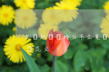 欠錢起訴離婚后不立案(離婚后欠錢不還起訴書范文)