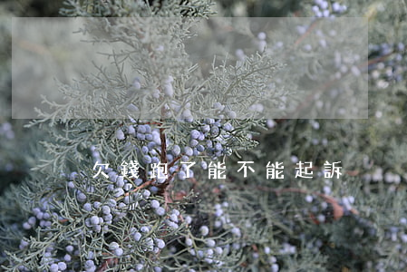 欠錢跑了能不能起訴