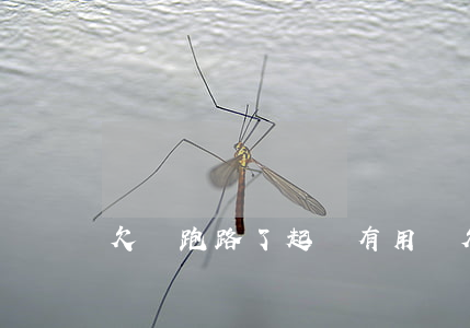 欠錢跑路了起訴有用嗎（欠錢被起訴跑路）