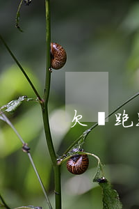欠錢跑路了起訴(欠錢跑路了起訴流程)