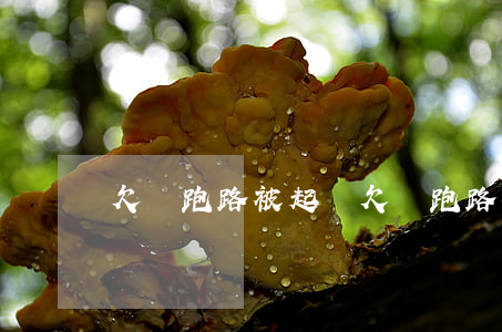 欠錢跑路被起訴 欠錢跑路被起訴