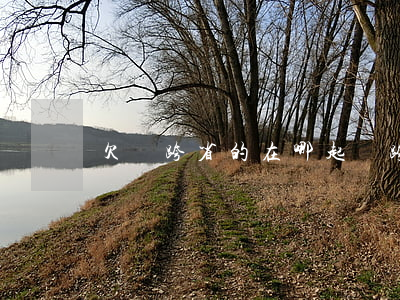 欠錢跨省的在哪起訴(跨省欠賬怎樣辦理起訴)