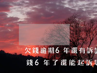 欠錢逾期6年還有訴訟權(quán)嗎(欠錢6年了還能起訴嗎)