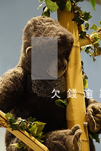 欠錢逾期不還該怎么辦(逾期欠錢不還的后果)