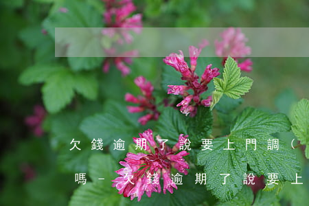 欠錢逾期了說要上門調(diào)查違法嗎-欠錢逾期了說要上門調(diào)查違法嗎是真的嗎