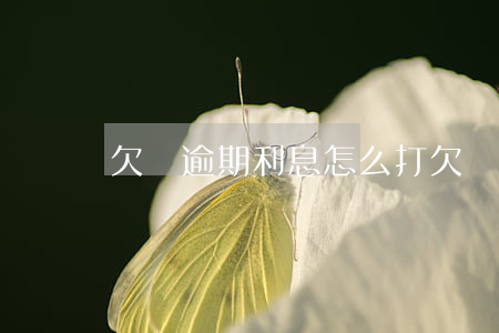 欠錢逾期利息怎么打欠條(欠條逾期利息多少)