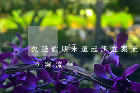 欠錢逾期未還起訴立案流程-欠錢不還法院立案流程