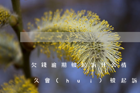 欠錢逾期被起訴什么情況 欠銀行的錢逾期多久會(huì)被起訴