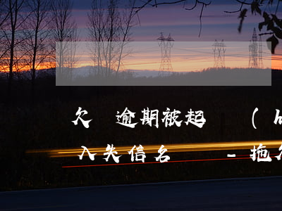 欠錢逾期被起訴會(huì)進(jìn)入失信名單嗎-拖欠訴訟費(fèi)會(huì)不會(huì)上失信名單