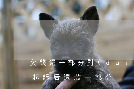 欠錢還一部分對(duì)方起訴(欠錢不還起訴后還款一部分)
