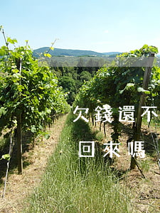 欠錢還不了起訴有用嗎-欠錢不還起訴能要回來嗎
