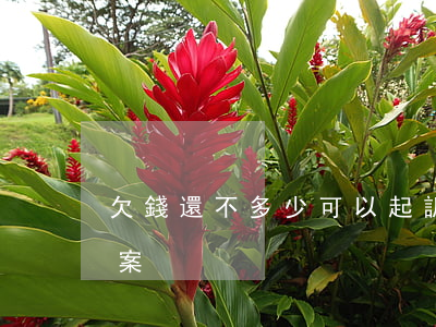 欠錢還不多少可以起訴(欠錢不還欠多少能立案)
