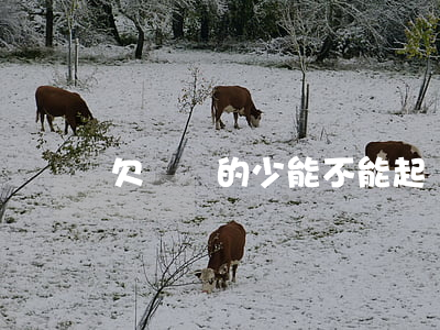 欠錢還的少能不能起訴(欠錢還的少能不能起訴)