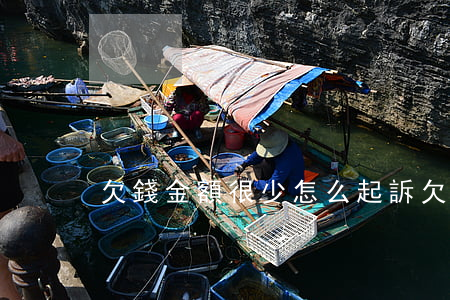 欠錢金額很少怎么起訴(欠的錢少不還怎么辦)