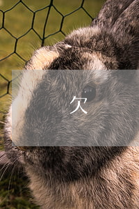 欠錢錢無(wú)力償還