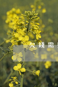 欠錢需要去哪里起訴(欠錢要到哪里起訴)