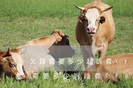 欠錢需要多少起訴費(fèi)-欠錢起訴需要多少訴訟費(fèi)