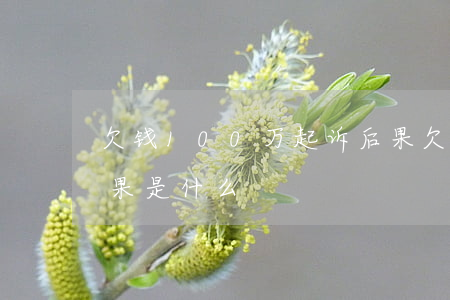 欠钱100万起诉后果 欠钱100万起诉后果是什么