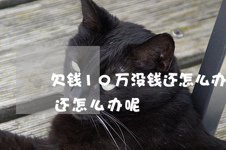 欠钱10万没钱还怎么办-欠钱10万没钱还怎么办呢