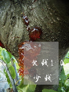 欠钱10万起诉费多少(欠账10万起诉费多少钱)
