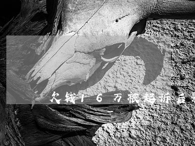 欠钱16万被起诉后果(欠款16万)
