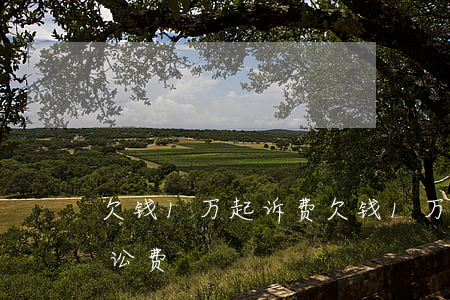 欠钱1万起诉费(欠钱1万六起诉法院多少诉讼费)