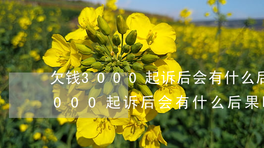 欠钱3000起诉后会有什么后果-欠钱3000起诉后会有什么后果吗