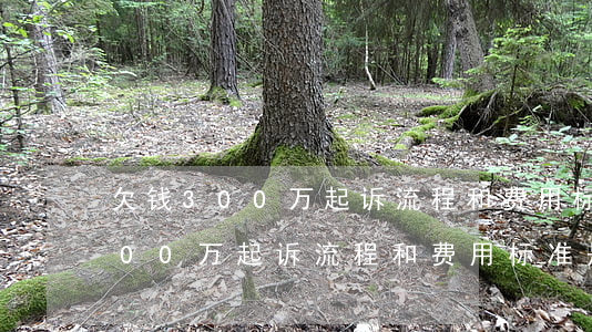 欠钱300万起诉流程和费用标准-欠钱300万起诉流程和费用标准是什么