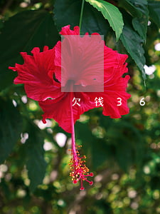 欠钱3600起诉流程(欠款3000元起诉)