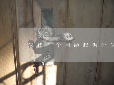 欠钱4个月能起诉吗(欠钱4个月能起诉吗法院)