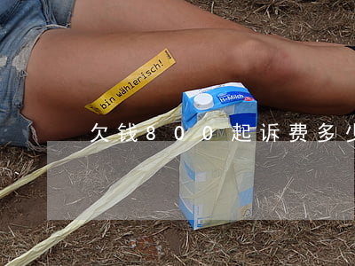 欠钱800起诉费多少(欠钱800起诉值吗)