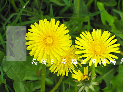 欠钱8万起诉有效吗 欠8万起诉费多少钱