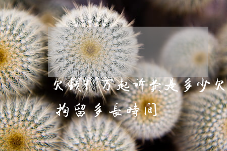 欠钱9万起诉费是多少(欠9万块钱被起诉会拘留多长时间)