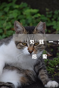 欠钱一万五起诉费是多少（欠钱一万五被起诉后果）