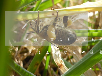 欠钱一万以上法院起诉流程及费用-欠钱一万以上法院起诉流程及费用多少