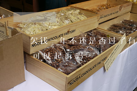 欠钱一年不还是否过了有效诉讼期（欠钱1年可以起诉吗）