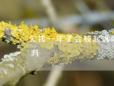 欠钱一年了会被起诉吗(欠钱一年多算时间长吗)