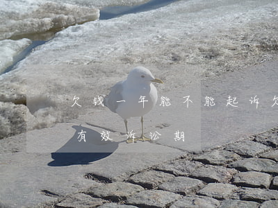 欠钱一年能不能起诉(欠钱一年不还是否过了有效诉讼期)