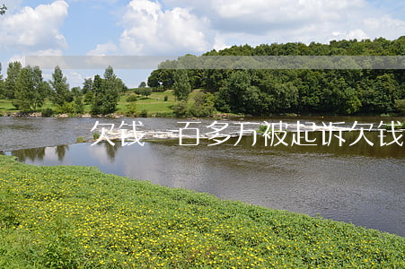 欠钱一百多万被起诉（欠钱一百多万被起诉）