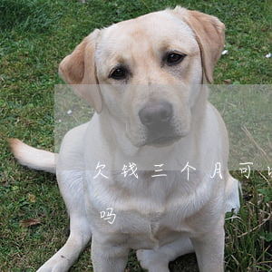 欠钱三个月可以起诉么(欠款三个月会上征信吗)