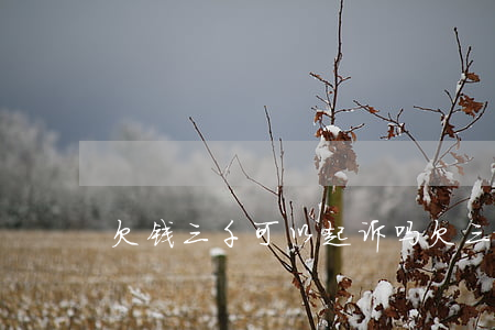 欠钱三千可以起诉吗(欠三千块钱能起诉吗)