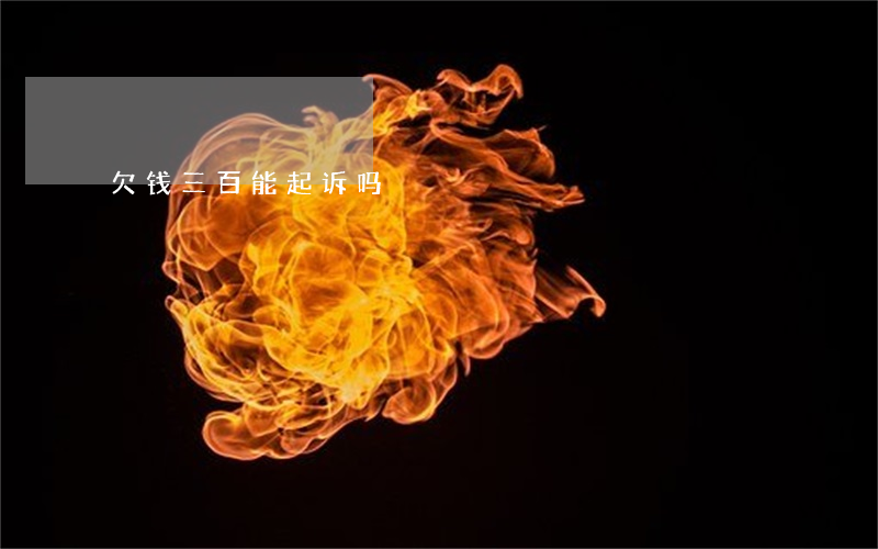 欠钱三百能起诉吗